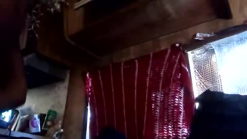 15592686874_callme_or_facetime online show from October 5, 2025, 7:12 pm