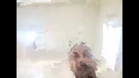 155decuzinho online show from November 12, 2025, 6:30 pm