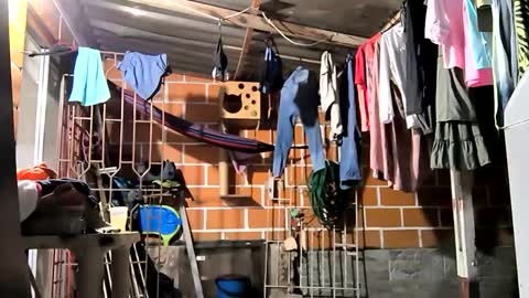 17cmpolla online show from December 6, 2024, 4:14 am