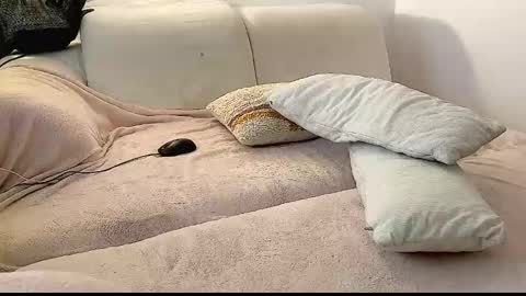 Snapshot of 1psycho2boogie chatting on January 28, 2025, 7:11 am TORCH online show from January 28, 2025, 7:11 am