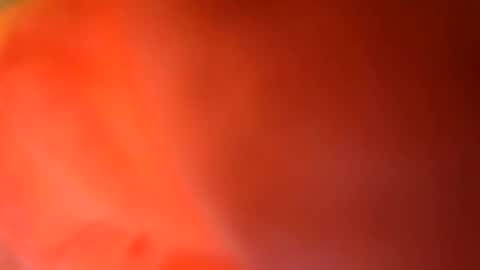 24cockrings online show from May 17, 2026, 7:43 pm