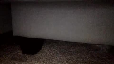 Snapshot of 30nick chatting on February 2, 2026, 3:16 am 30nick online show from February 2, 2026, 3:16 am