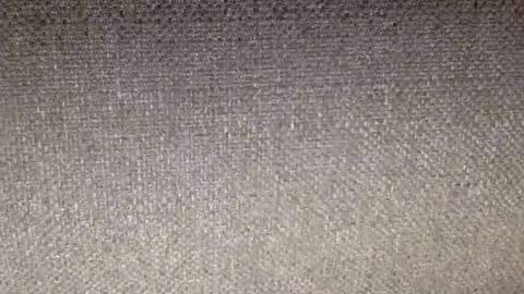 Snapshot of 30nick chatting on February 12, 2026, 7:25 am 30nick online show from February 12, 2026, 7:25 am