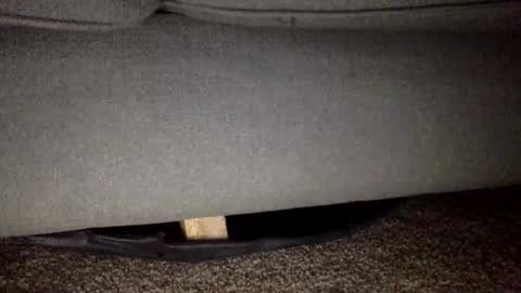 Snapshot of 30nick chatting on February 25, 2026, 5:50 am 30nick online show from February 25, 2026, 5:50 am