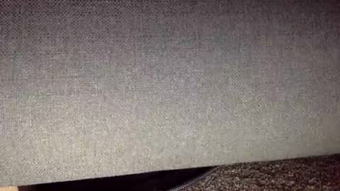 30nick online show from April 13, 2026, 5:02 am