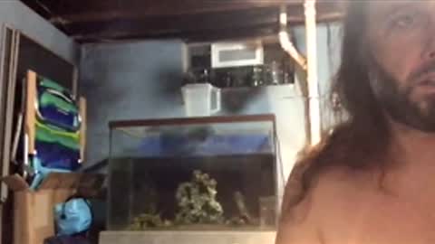 Snapshot of 33adidas chatting on November 26, 2025, 8:48 am 33adidas online show from November 26, 2025, 8:48 am