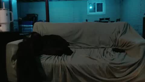 Snapshot of 420bunnie chatting on February 26, 2025, 7:20 am 420bunnie online show from February 26, 2025, 7:20 am