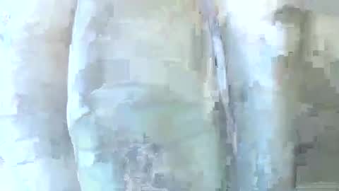 Daddy online show from December 1, 2025, 6:24 pm