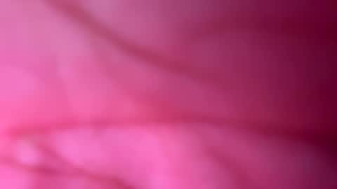 666xoxo online show from October 9, 2025, 11:41 am