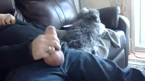 66bear online show from March 2, 2025, 10:05 pm