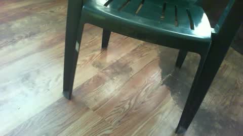 69forever453443 online show from September 15, 2025, 1:00 pm