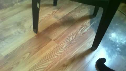 69forever453443 online show from November 14, 2025, 1:43 pm