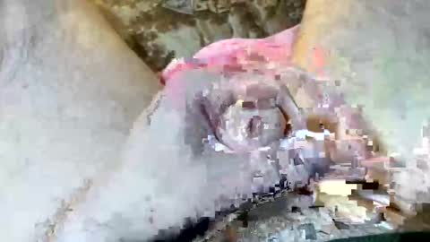 69rumbler online show from November 6, 2025, 10:05 am