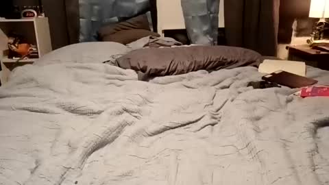 7lairddip online show from February 15, 2026, 7:51 am