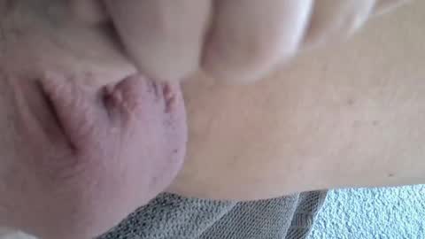 Snapshot of 81_harterschwanz chatting on January 6, 2025, 9:19 am Maximilian Max online show from January 6, 2025, 9:19 am