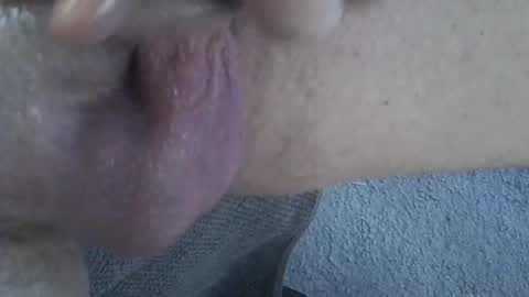 Snapshot of 81_harterschwanz chatting on February 6, 2025, 10:48 am Maximilian Max online show from February 6, 2025, 10:48 am