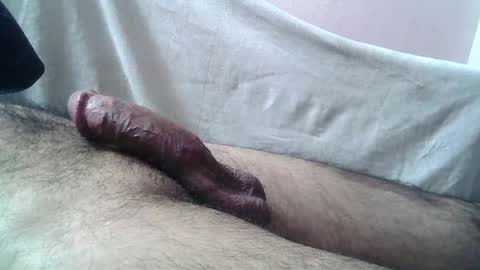 Snapshot of 9_incher_83 chatting on April 20, 2026, 7:59 pm Massive hungry cock online show from April 20, 2026, 7:59 pm