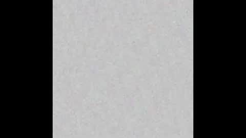 Brenda online show from February 18, 2025, 12:28 pm