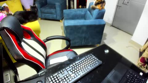 Emma online show from February 7, 2025, 12:53 am