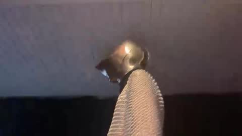 Snapshot of _goodknight chatting on February 3, 2025, 5:07 am GOODKNIGHT online show from February 3, 2025, 5:07 am