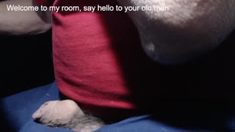 _jimmini online show from February 21, 2025, 4:16 pm