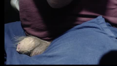 Snapshot of _jimmini chatting on February 12, 2026, 8:59 pm _jimmini online show from February 12, 2026, 8:59 pm