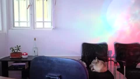 _lunablondie_ online show from August 5, 2026, 2:31 pm