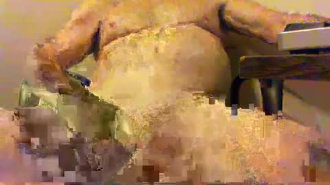 Snapshot of _pervin_ chatting on February 5, 2025, 2:51 am pervin online show from February 5, 2025, 2:51 am