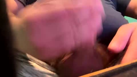 Snapshot of _peterson_ chatting on January 15, 2025, 10:24 pm _peterson_ online show from January 15, 2025, 10:24 pm