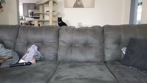 SophiaGraceKnight online show from November 12, 2025, 5:13 pm