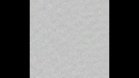 _tammarra_ online show from October 31, 2025, 11:55 am