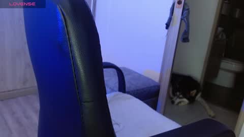 Snapshot of _tinyrousse_ chatting on February 23, 2026, 4:26 pm Rousse online show from February 23, 2026, 4:26 pm