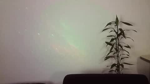 _yourcherrybomb online show from November 21, 2025, 2:54 am