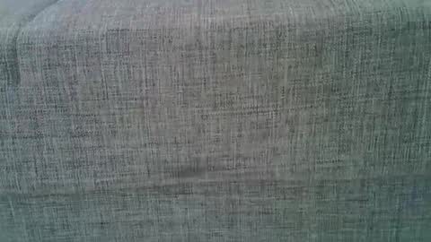 XXL online show from March 8, 2025, 9:39 am