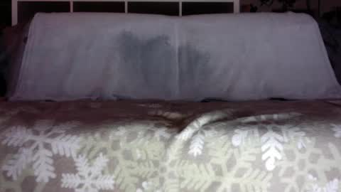 a_nice_dick_77 online show from December 21, 2025, 5:20 pm