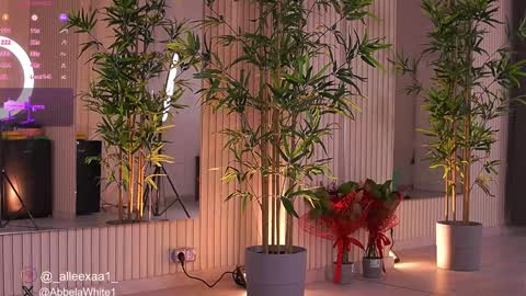 Alexa online show from February 3, 2025, 9:52 am