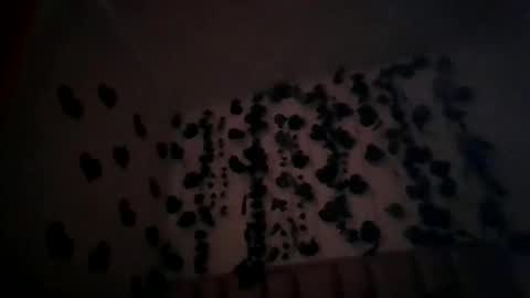 abby_moss_2 online show from April 8, 2026, 12:49 pm