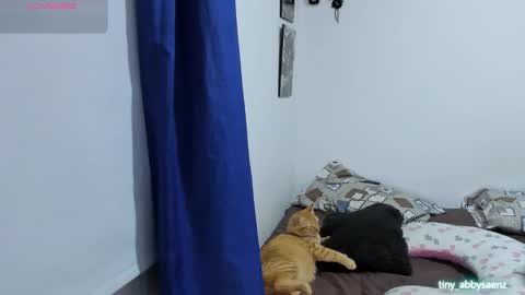 Snapshot of abby_saenz01 chatting on October 18, 2025, 11:27 pm Abby Saenz online show from October 18, 2025, 11:27 pm