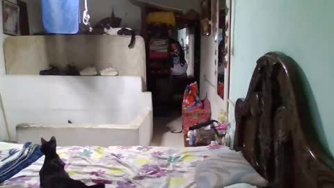 Abby online show from January 26, 2025, 11:50 pm