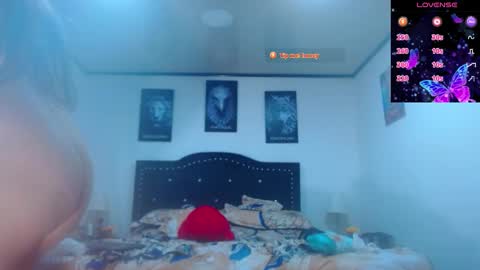 abbyshinne online show from February 19, 2026, 4:03 pm