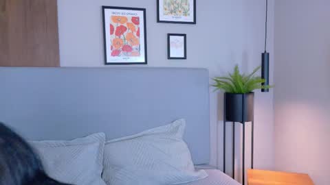 abiehils online show from March 11, 2026, 11:49 am