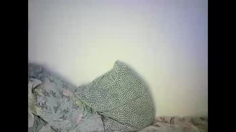 GoldenFish online show from February 22, 2025, 11:46 pm