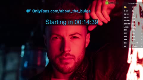 Snapshot of about_the_bulge chatting on January 1, 2025, 2:51 am about_the_bulge online show from January 1, 2025, 2:51 am