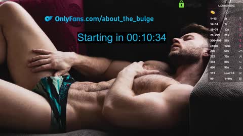 Snapshot of about_the_bulge chatting on March 10, 2025, 2:17 am about_the_bulge online show from March 10, 2025, 2:17 am