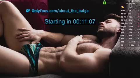 Snapshot of about_the_bulge chatting on March 12, 2025, 2:20 am about_the_bulge online show from March 12, 2025, 2:20 am