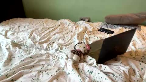 Absolute Horror Field online show from April 13, 2026, 7:14 am