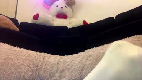 ENIGMA TZX5114 online show from February 18, 2025, 12:28 pm