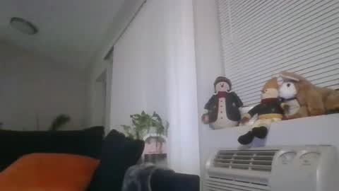 Britishadam online show from March 1, 2026, 1:07 am