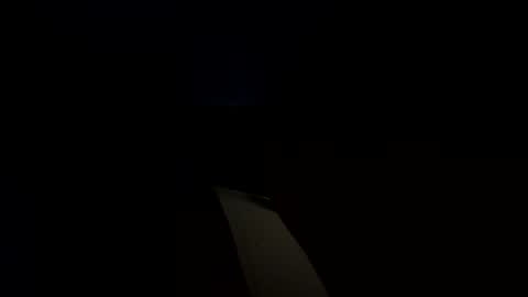 adamnaleixx online show from May 11, 2026, 2:28 am