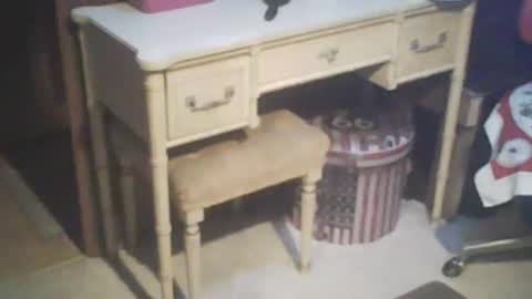 adamsny online show from February 21, 2025, 7:56 am